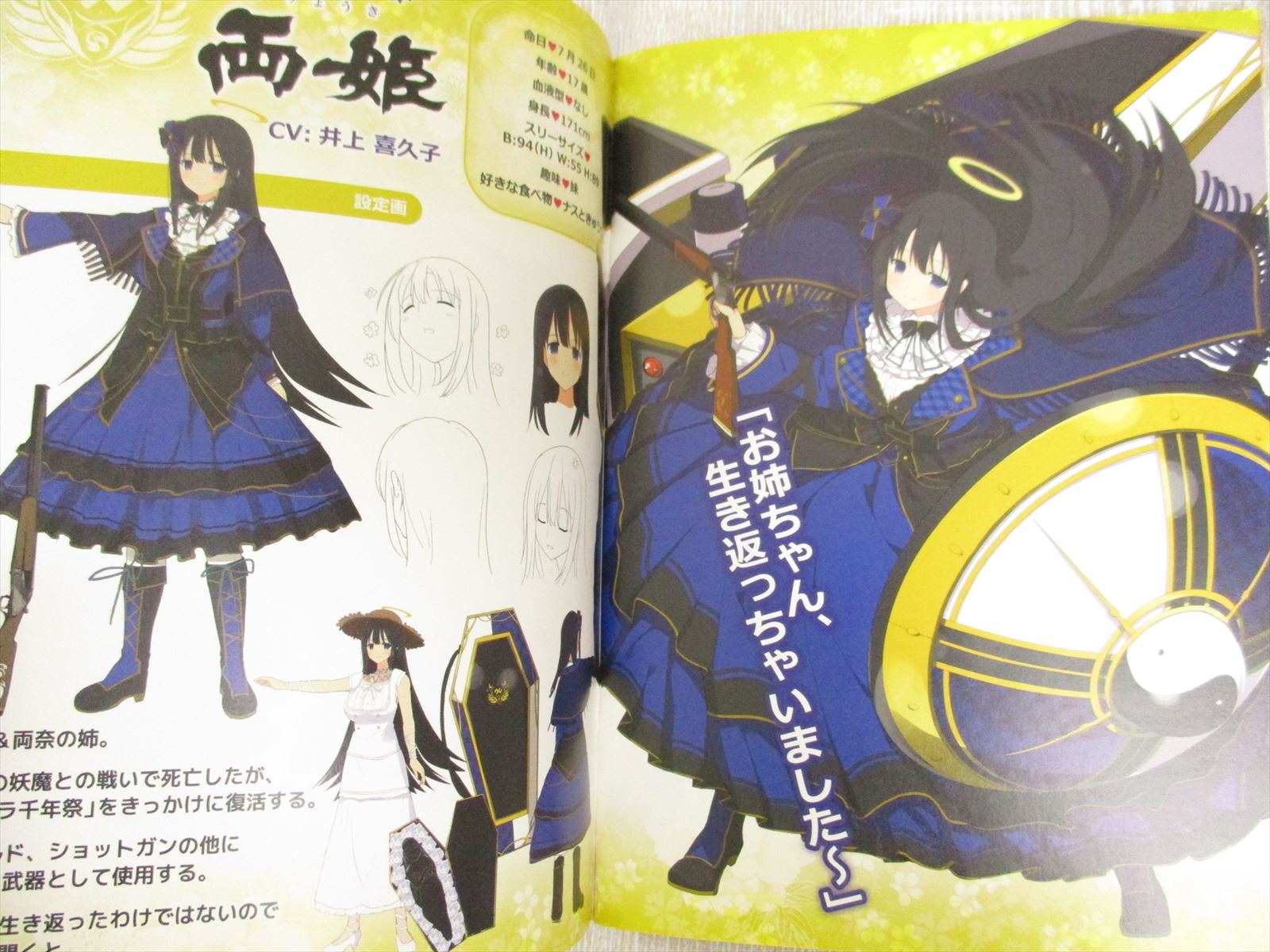 SENRAN KAGURA Estival Versus w/CD Art Illustration Book Ltd Booklet