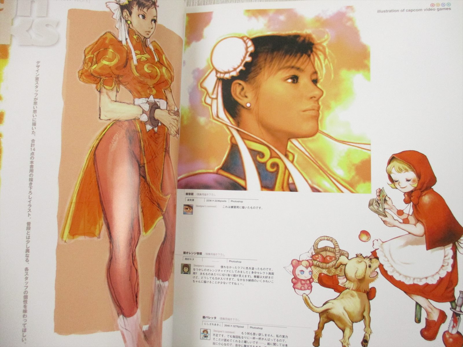 DESIGN WORKS Art Illustration Book Kinu Nishimura EB eBay
