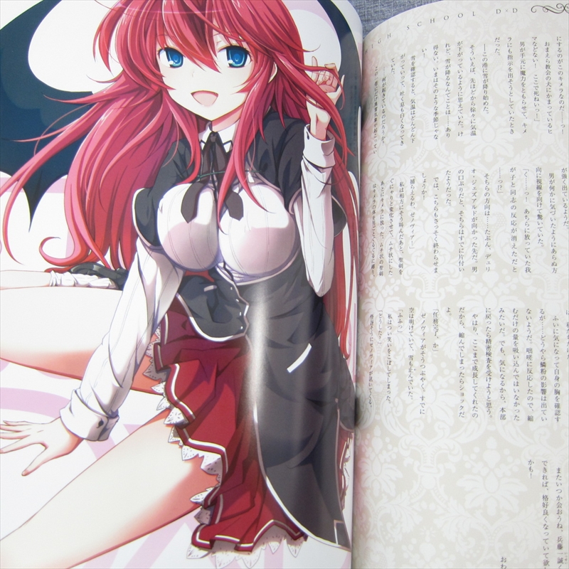 HIGHSCHOOL D X D RIAS AKENO OPPAI BOOST BOX Art Book KD | eBay