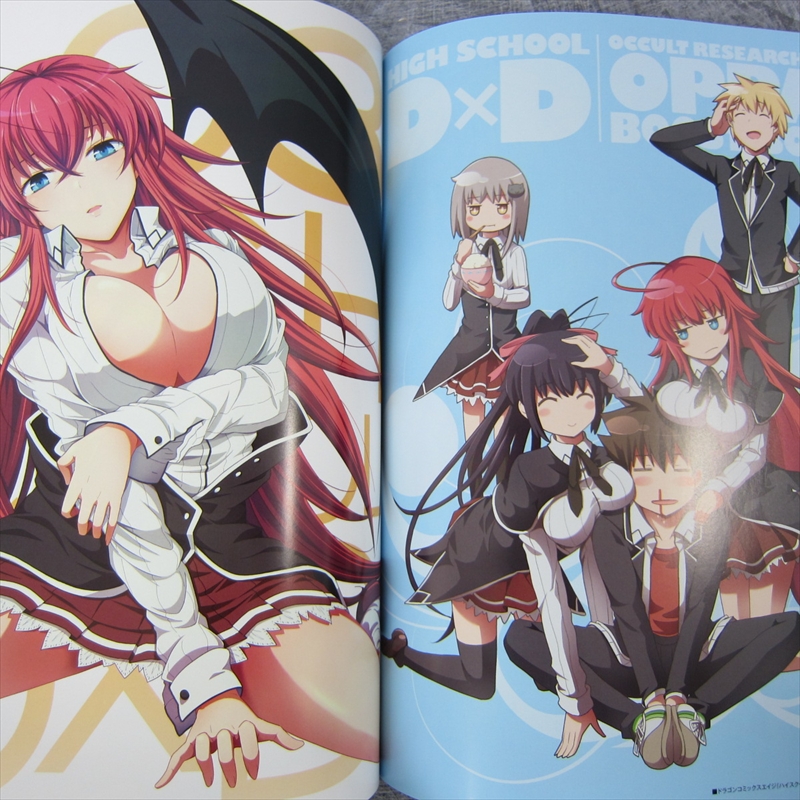 HIGHSCHOOL D X D RIAS AKENO OPPAI BOOST BOX Art Book KD | eBay