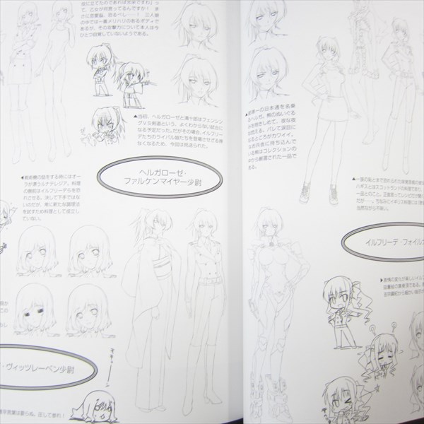 Animation Art Characters Japanese Anime Japanese Anime Muv Luv Alternative Ld6 Adoration Art Illustration Booklet Book C80 Ltd Collectibles Zsco Iq