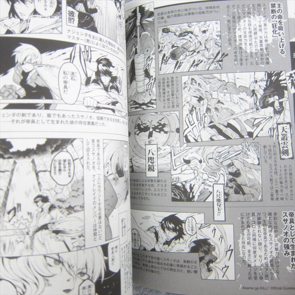 JAPAN Akame ga Kill Official Guide Book