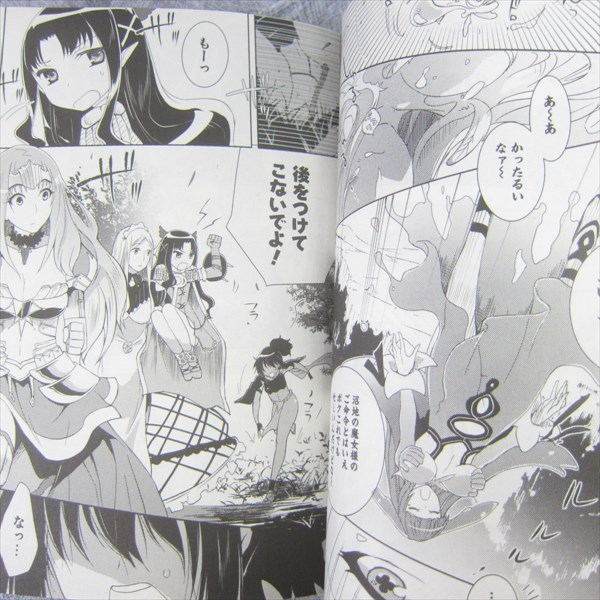 Queen S Blade Rebellion Zero Vol 1 Japan Riri Sagara Novel