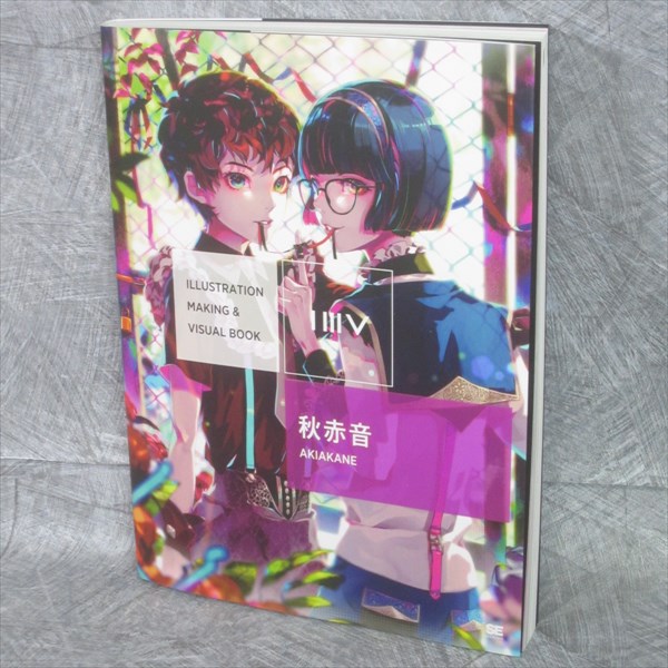 ILLUSTRATION MAKING & VISUAL BOOK AKIAKANE Aki Akane Art