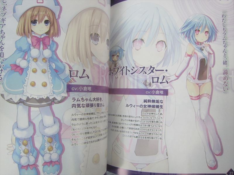 Neptunia Neptune Hyperdimension V Ii Visual Book Art Booklet Ltd Ebay