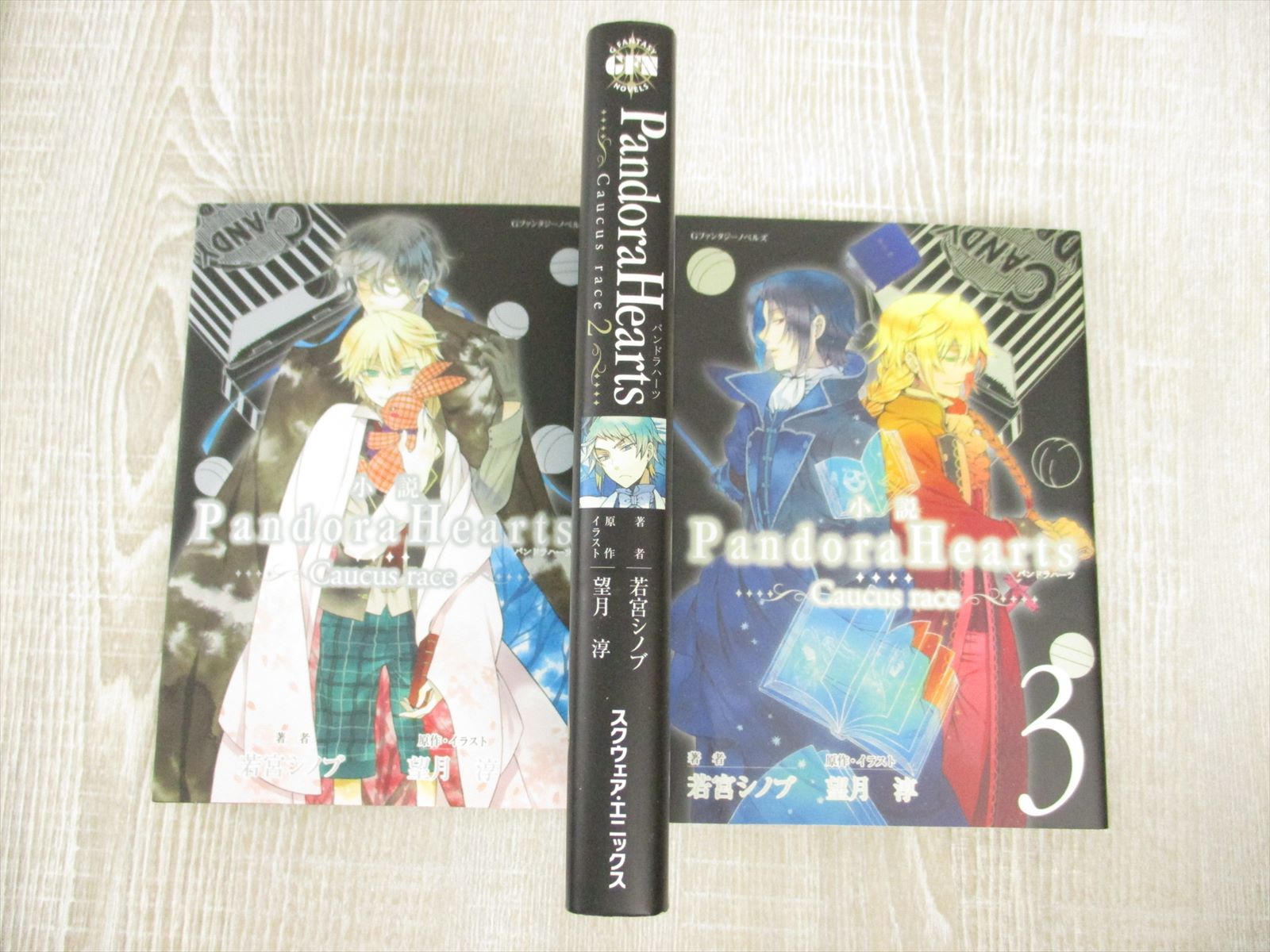 Pandora Hearts Caucus Race Novel Latest Set 1 3 Shinobu Wakamiya Book Se Ebay