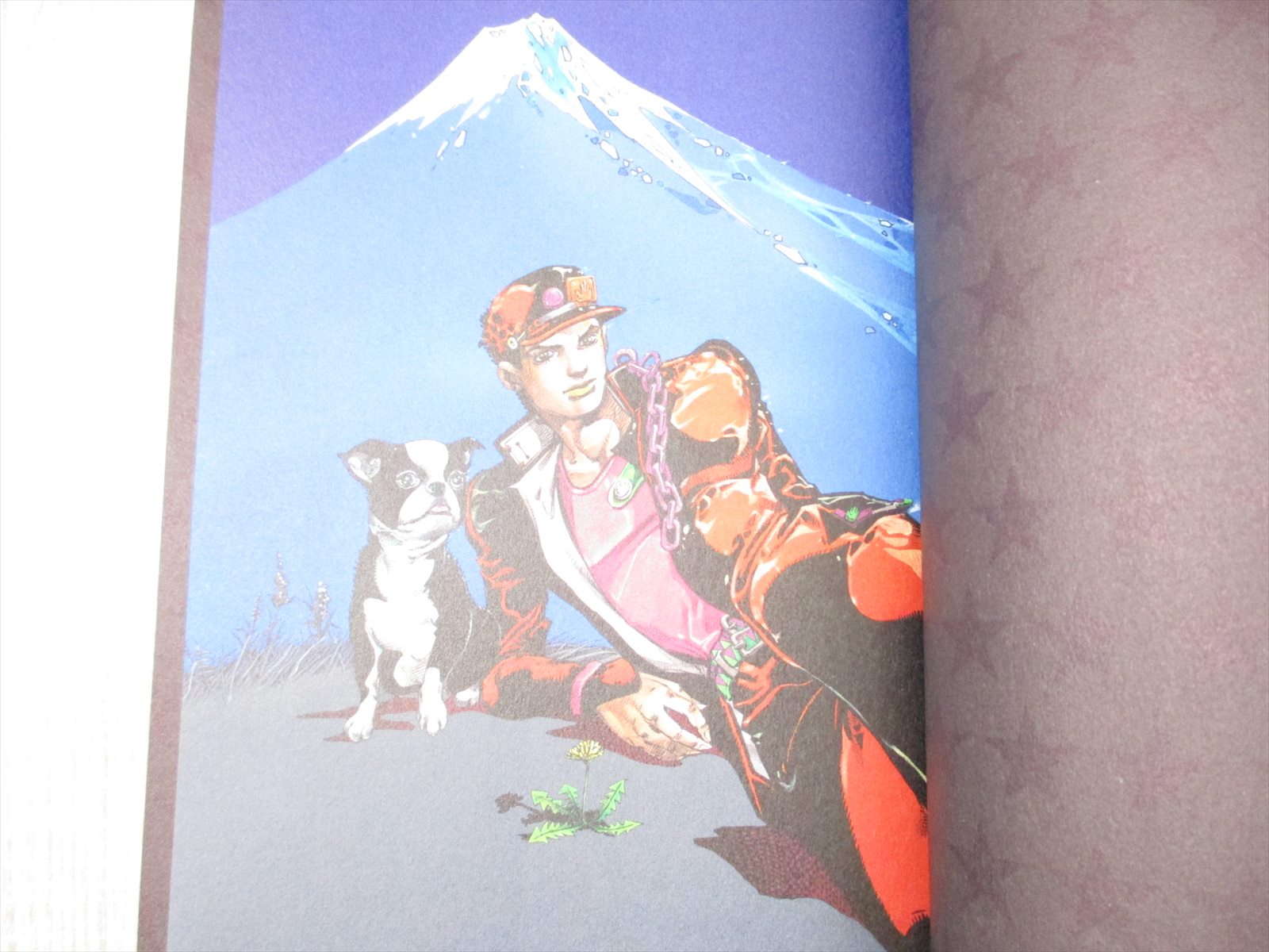 HIROHIKO ARAKI WORKS 1981-2012 Art Works Fan Book Jojo