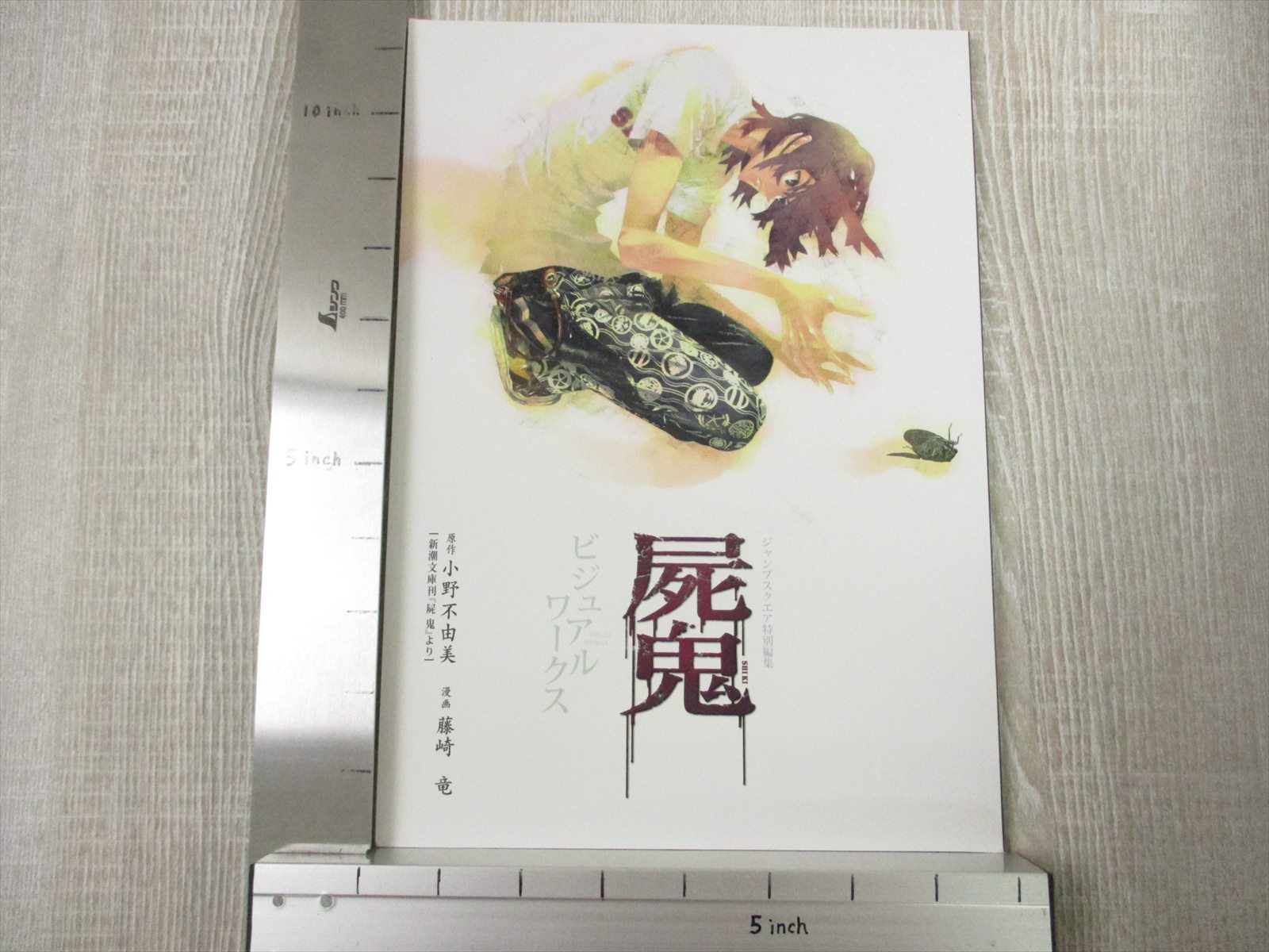 SHIKI Visual Works w/Poster Art Illustration RYU FUJISAKI Fan Book