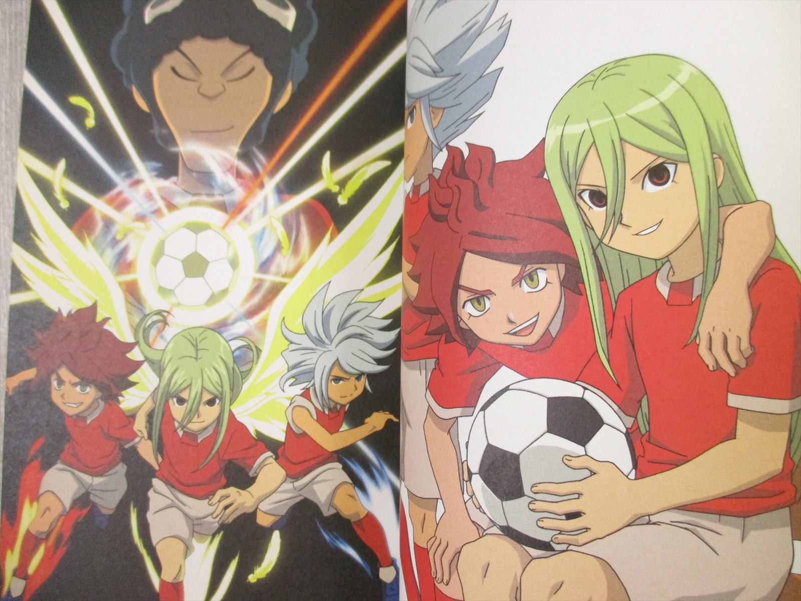 INAZUMA ELEVEN Zen Senshu Meikan 2 #68-99 Art Fan Book 2010