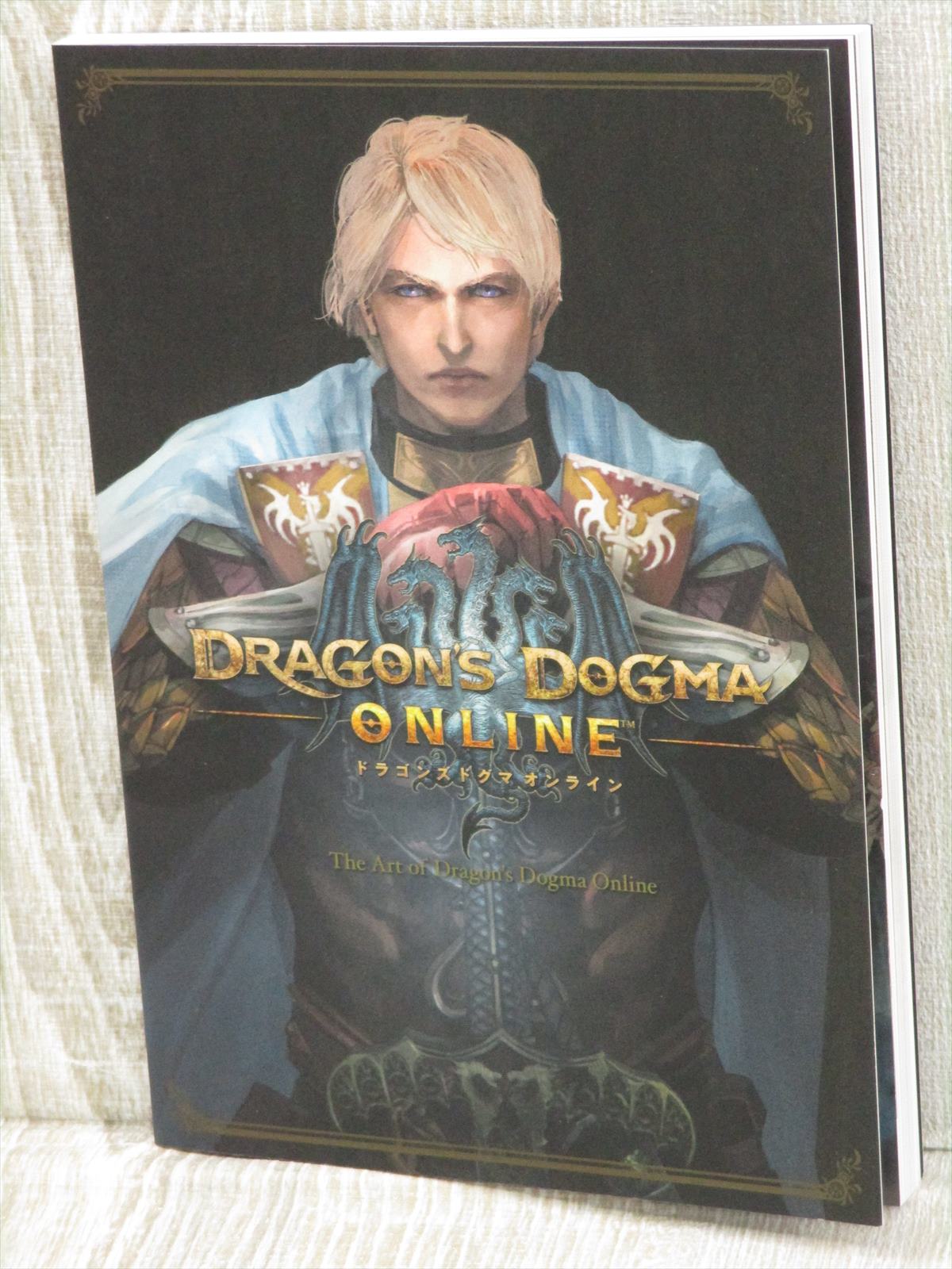 Dragon S Dogma Online Art Illustration Fan Book 15 Capcom Ltd Ebay