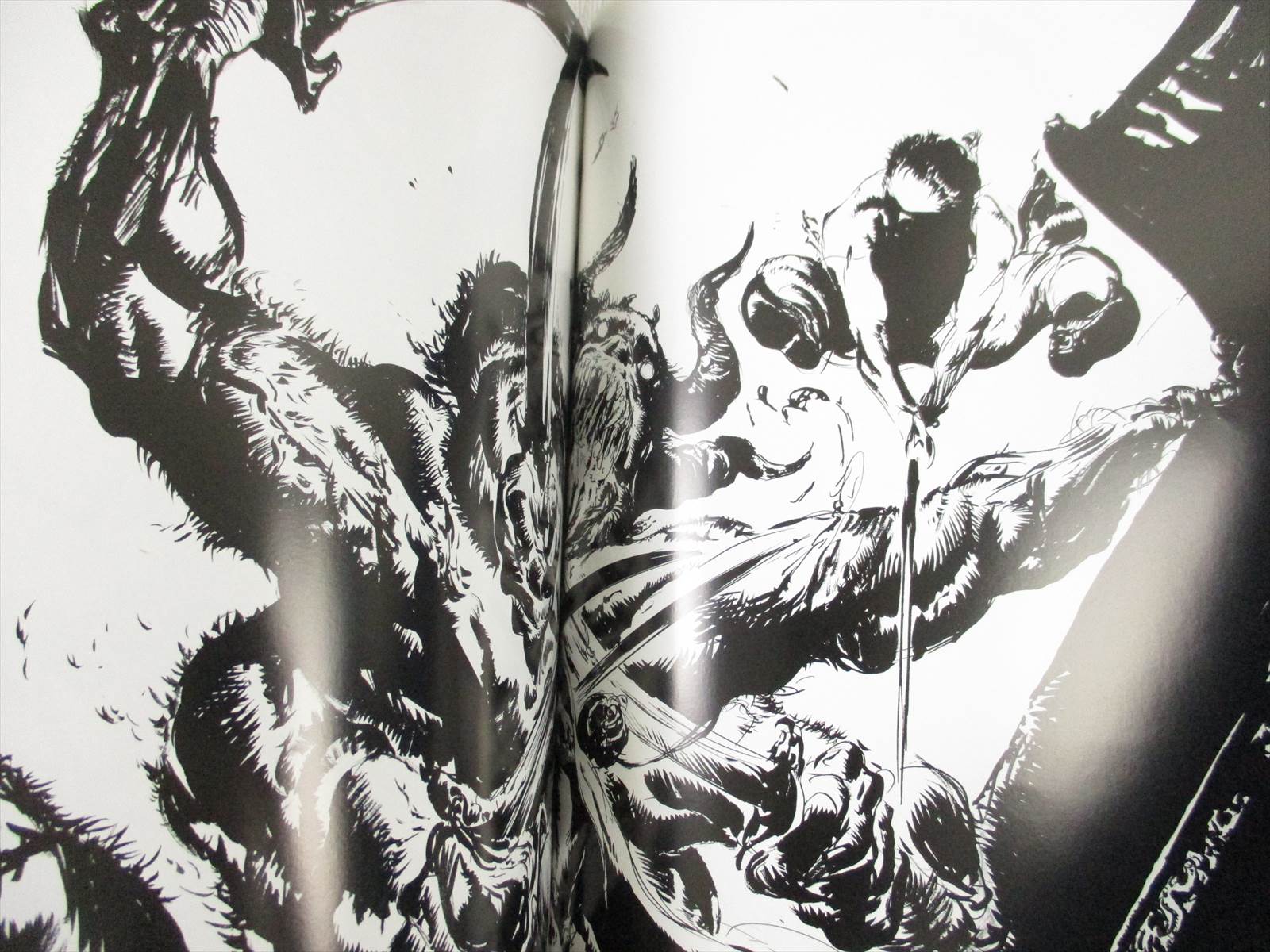 AMANO YOSHITAKA Art Works FIRST Illustration Fan Book Final