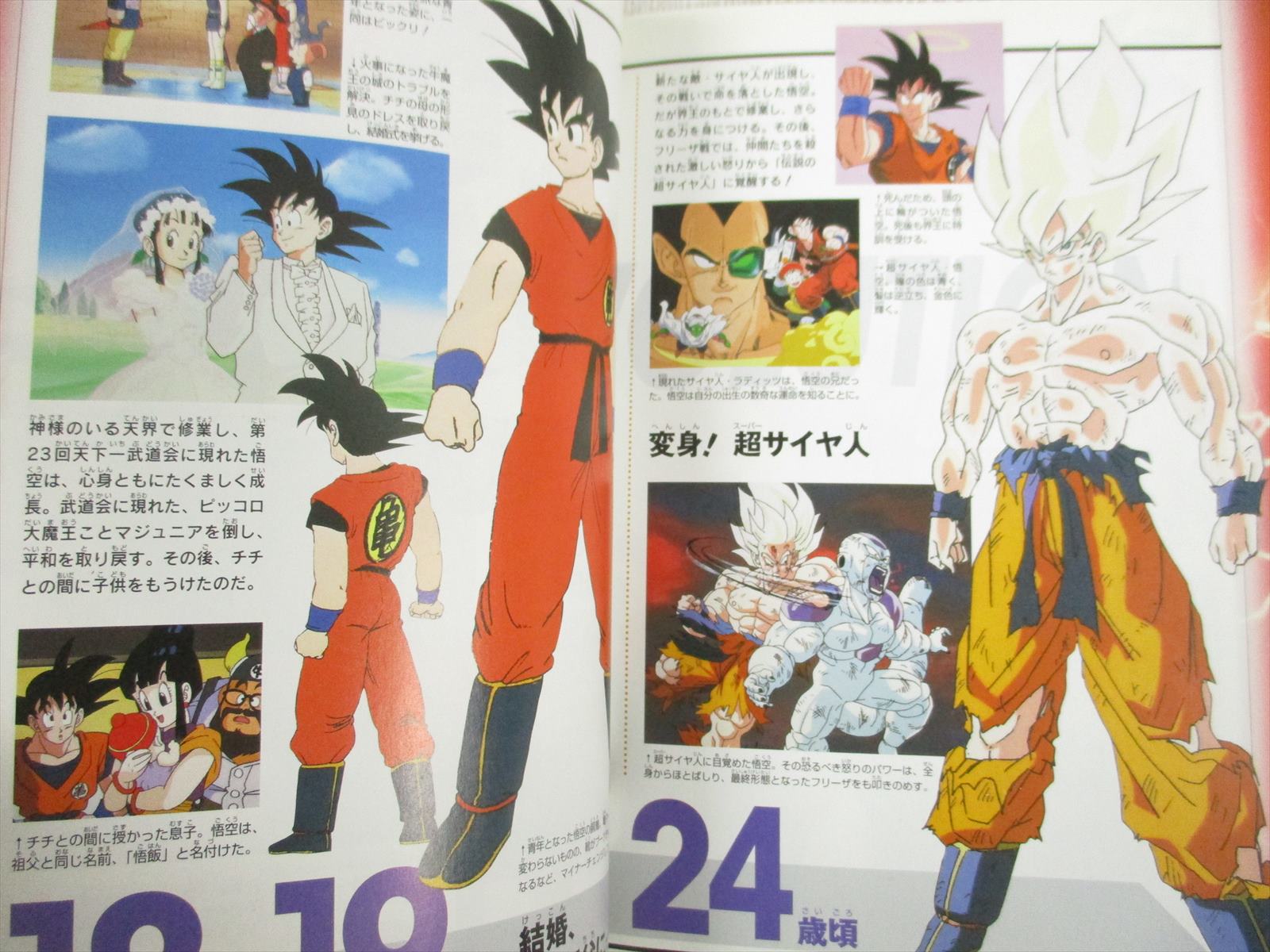 Dragon Ball Z Songokuh Densetu Art Guide Fan Book Tv Anime Sh63 Ebay