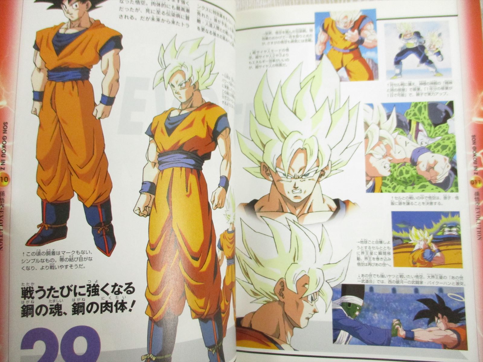 Dragon Ball Z Songokuh Densetu Art Guide Fan Book Tv Anime Sh63 Ebay