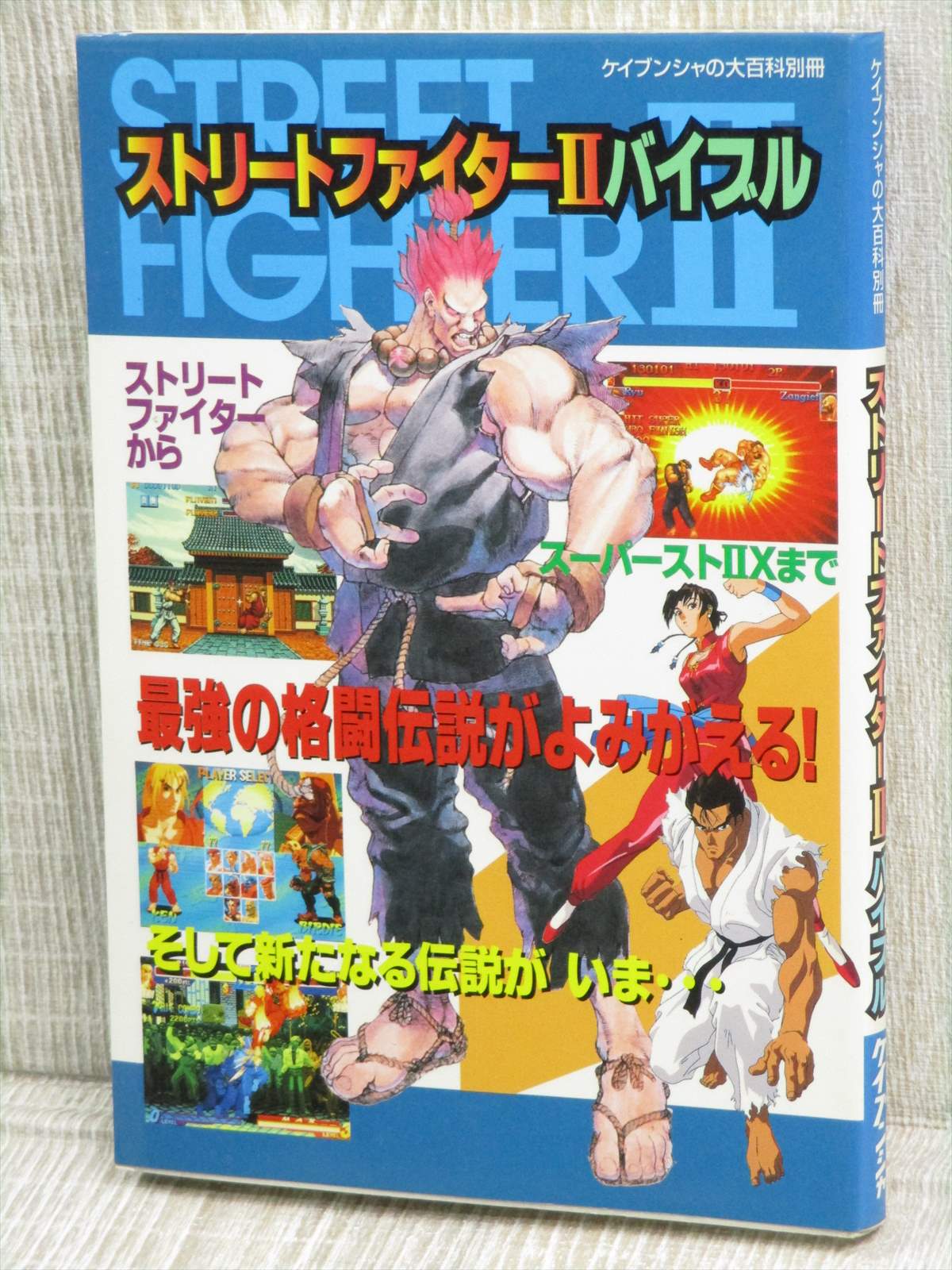 Street Fighter Ii Bible Game Guide Anime Art Fanbook Md Sfc 3do Ss Book Kb Ebay