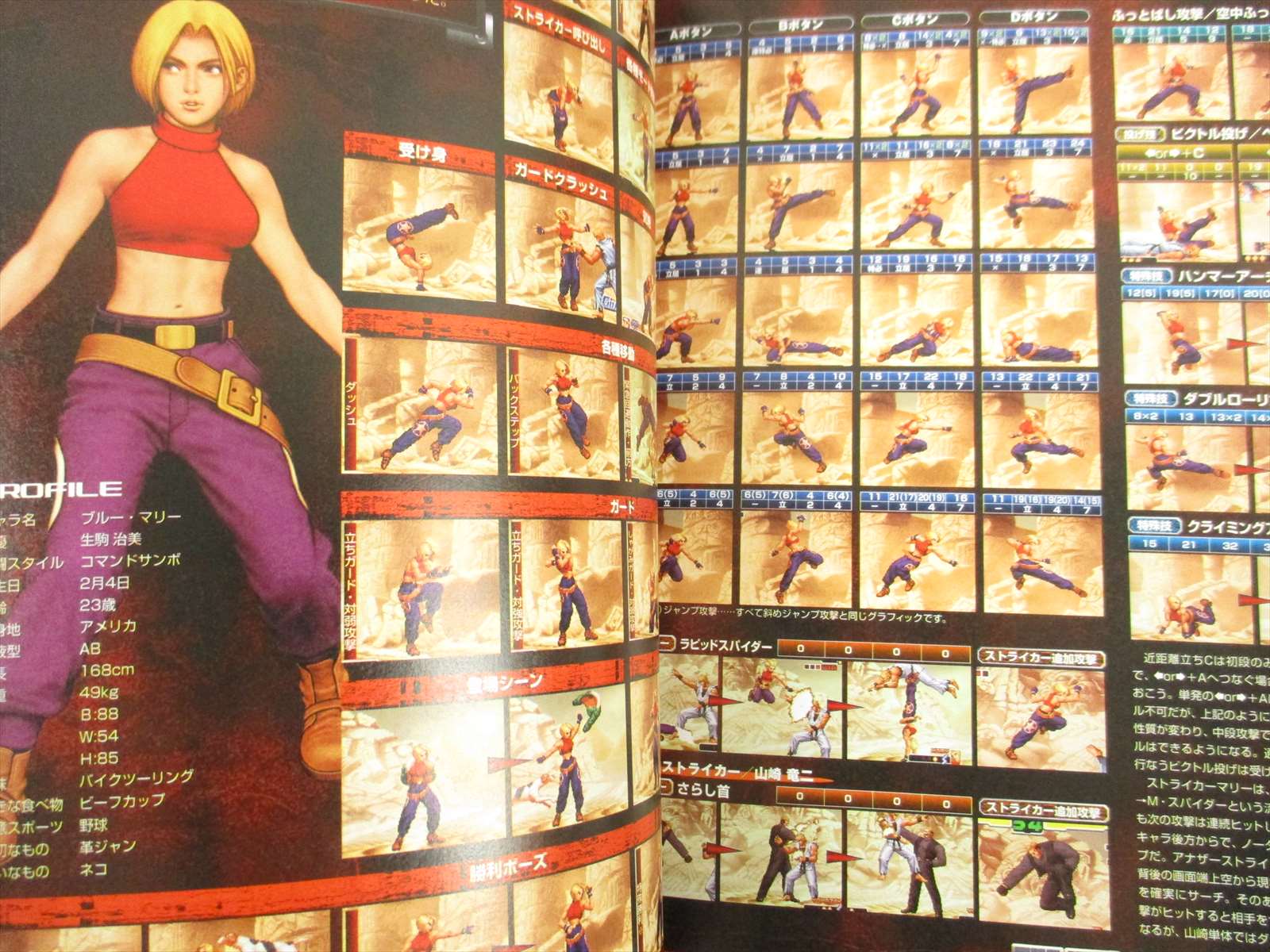 King Of Fighters 00 Characters Bible Guide Neo Geo Book Eb10 Ebay