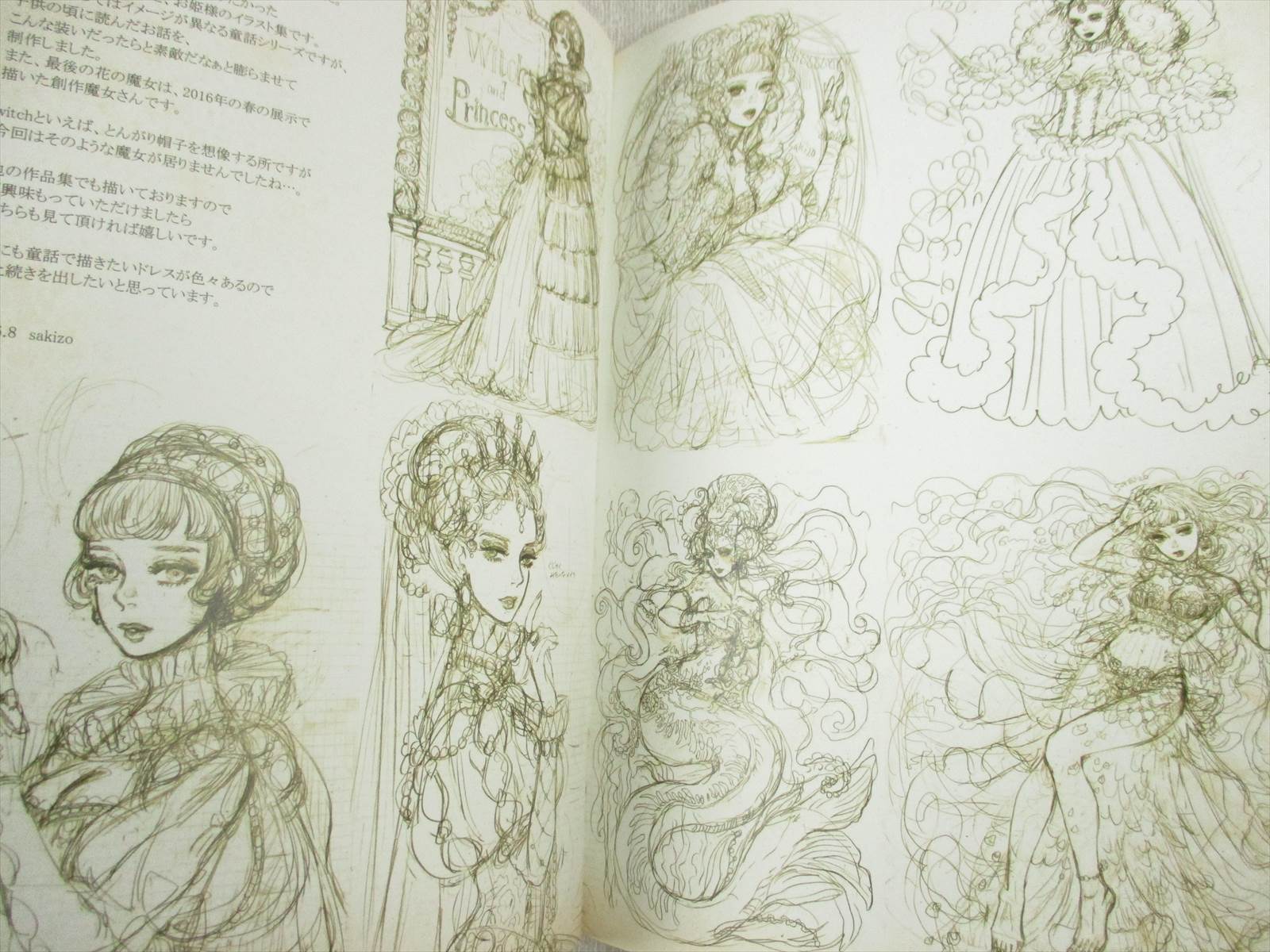 Sakizo Art Illustration Witch And Princess Doujin Booklet Book Ltd Ebay
