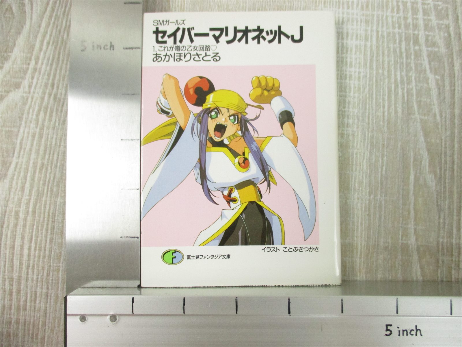 SABER MARIONETTE J Novel Complete Set 1-12 SATORU AKAHORI Book FJ