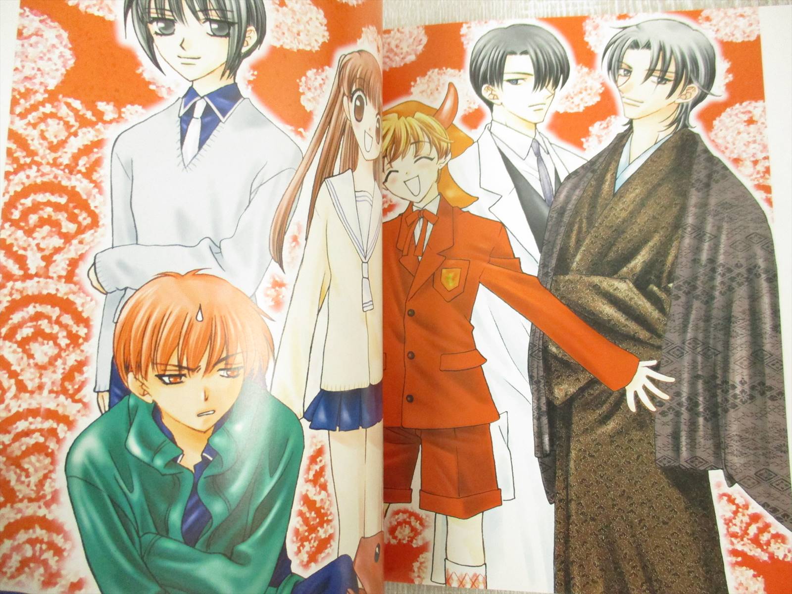 fruits basket book set