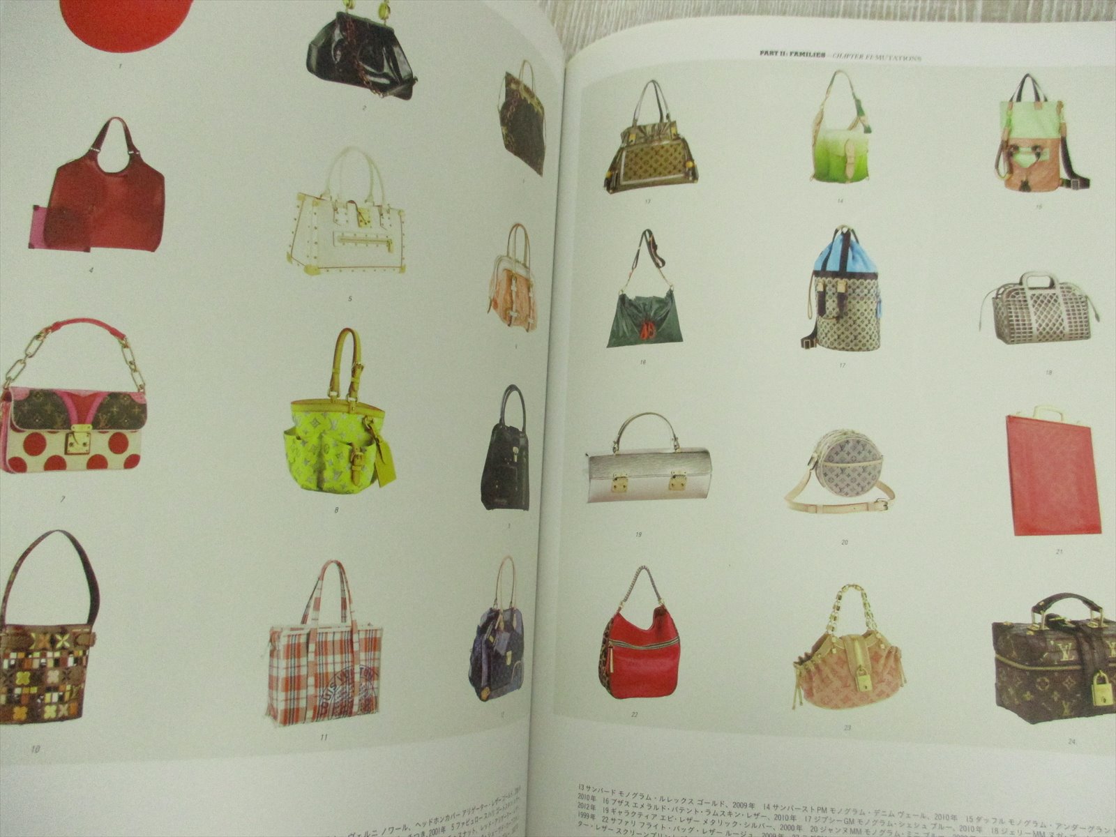 LOUIS VUITTON CITY BAGS Natural History Fashion Art Photo Book