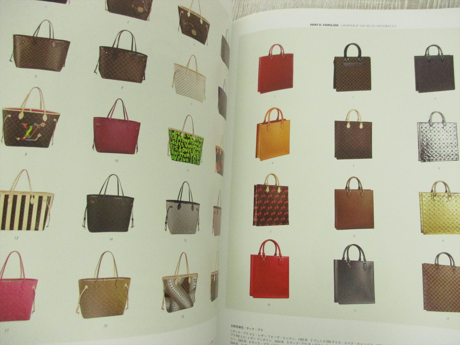 History Of Louis Vuitton Book Literacy Basics