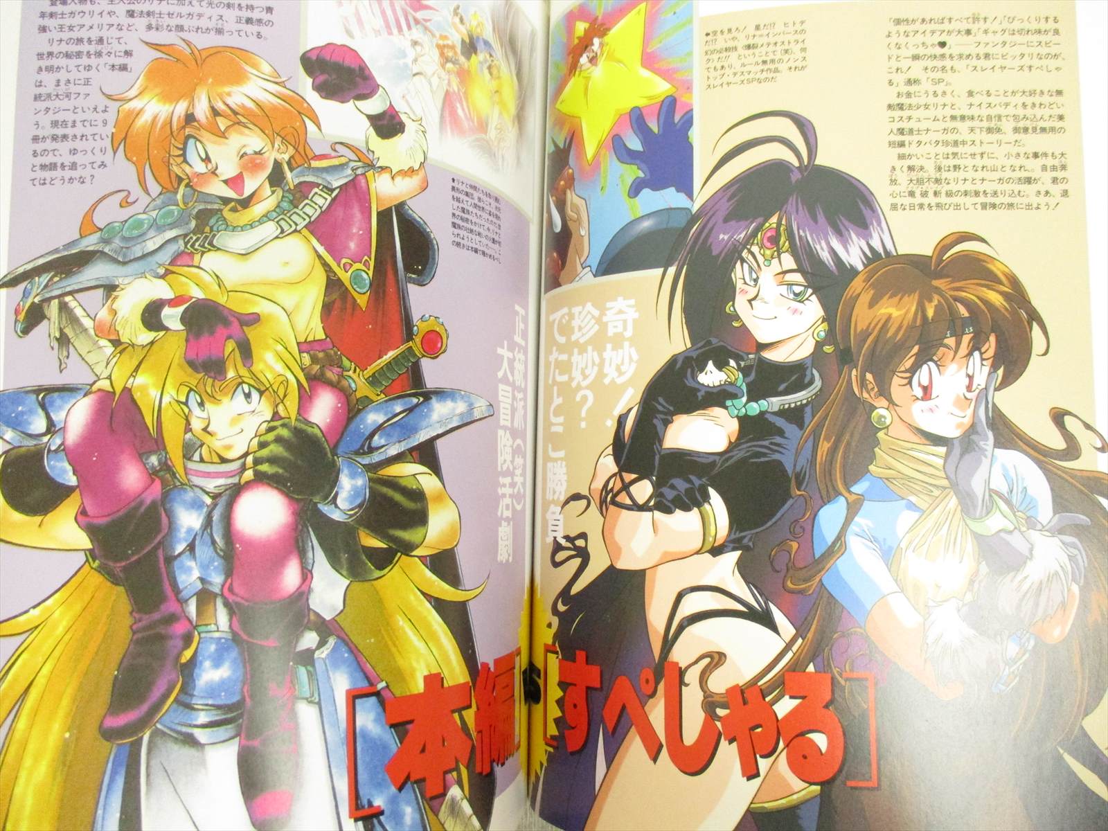 Rui Araizumi SLAYERS DX illustration art book