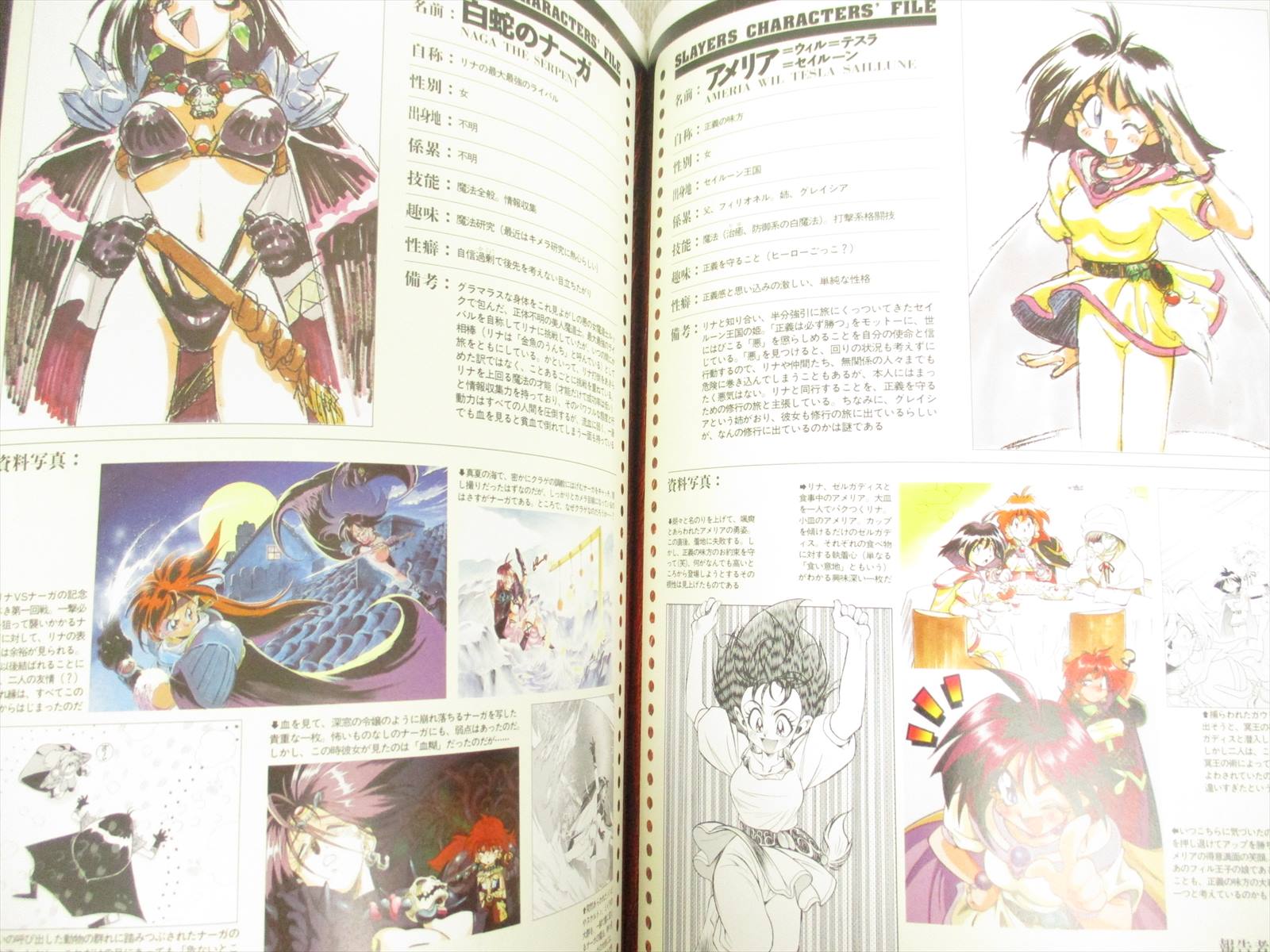 Rui Araizumi SLAYERS DX illustration art book