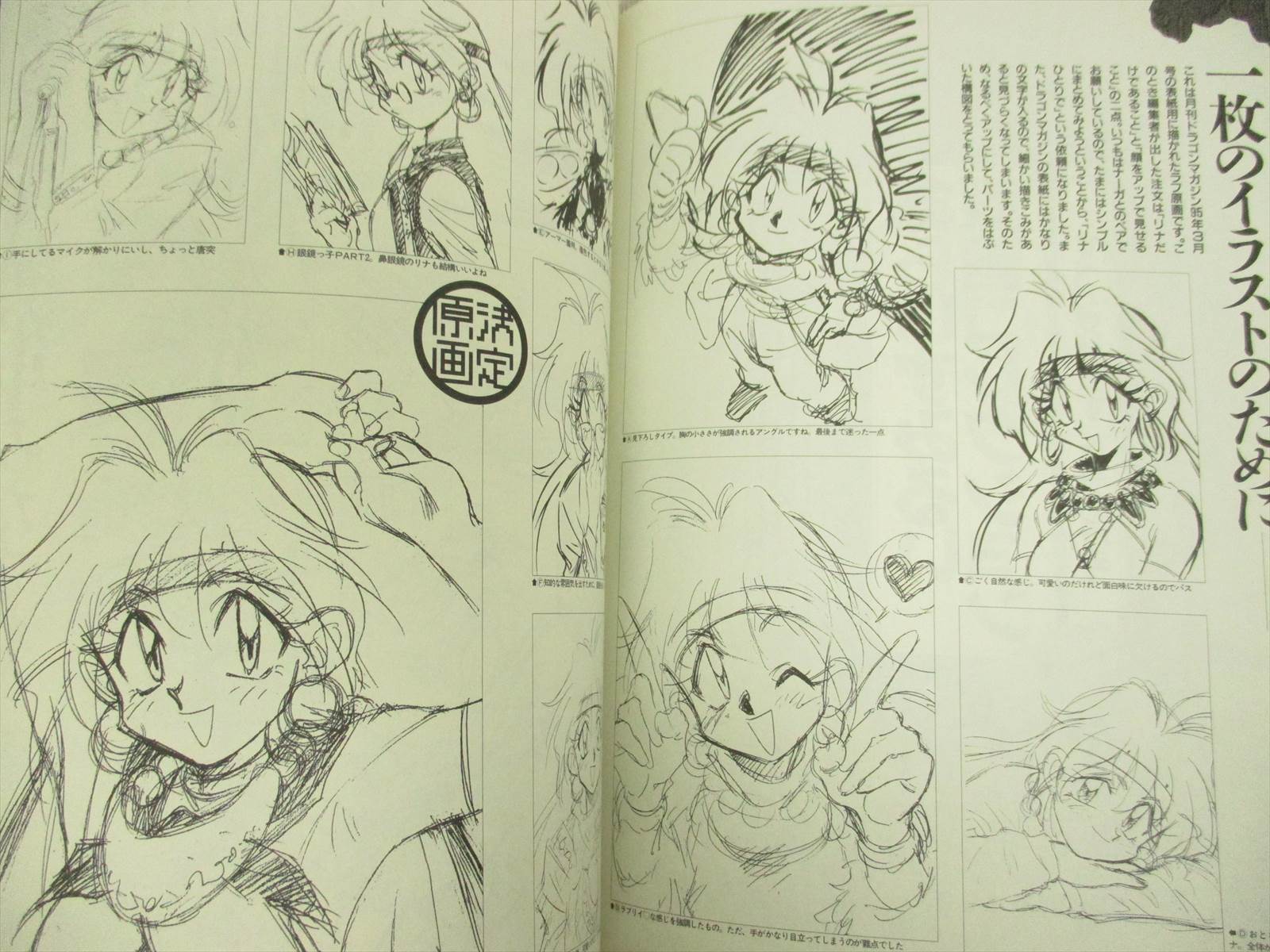 Rui Araizumi SLAYERS DX illustration art book