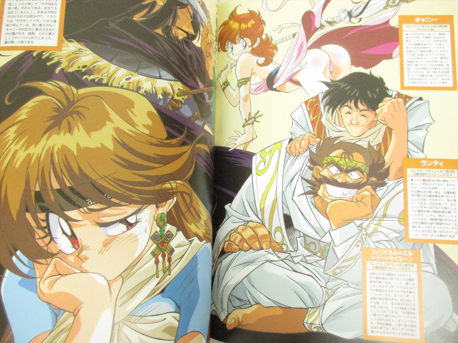 Rui Araizumi SLAYERS DX illustration art book