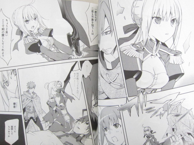 Fate Extra Comic Set 1 2 Robina Type Moon Book Kd Ebay