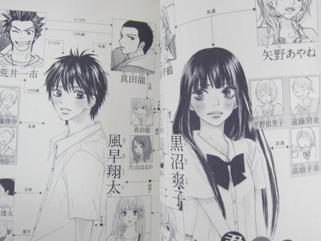 Kimi Ni Todoke Fanbook Art Karuho Shiina Book Comic Sh Ebay