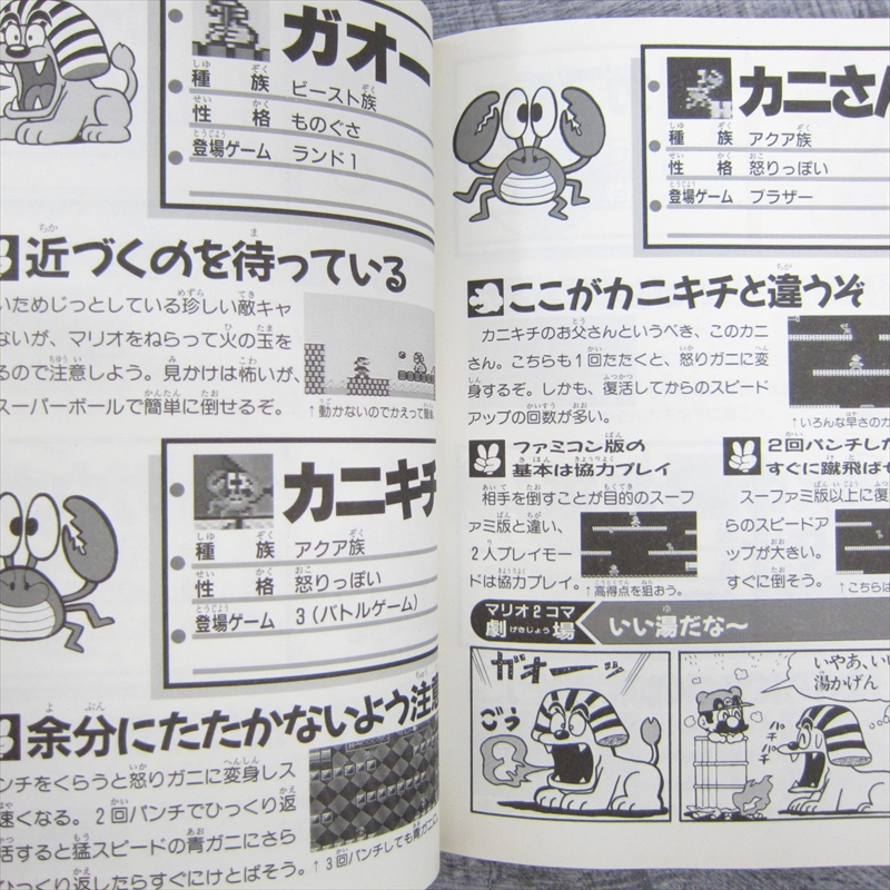 Mario Caracter Daijiten Enciclopedia Libro De Ventilador De Arte Perfecto 1994 Sg Ver Condiciones Ebay