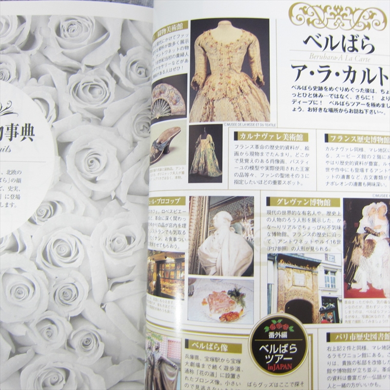 Rose Of Versailles Daijiten W Poster 30th Unniv Art Fanbook Book Sh Ebay