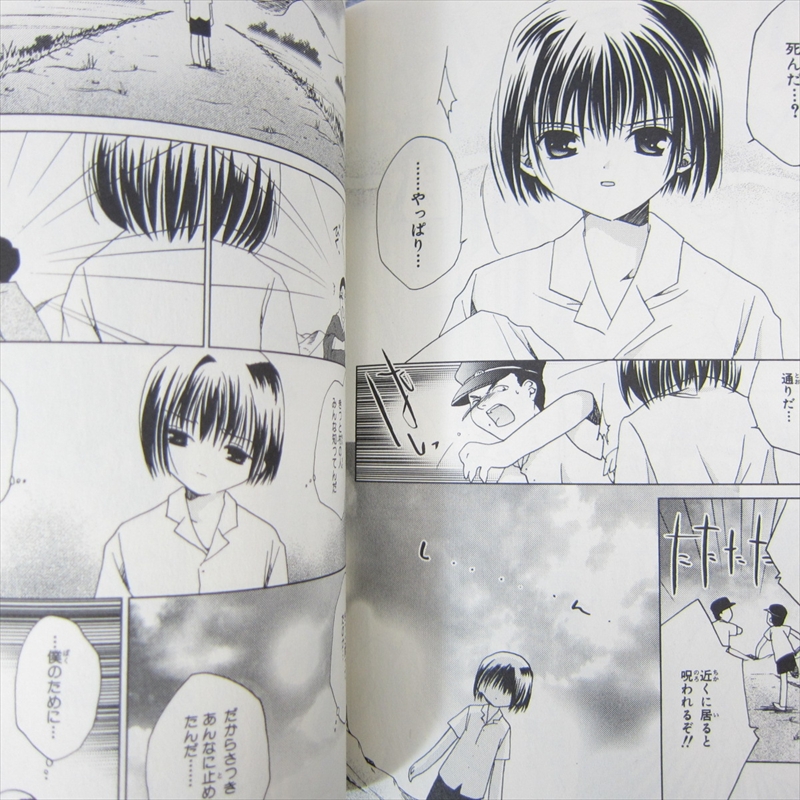 Pita Ten Manga Comic Complete Set 1 8 Koge Donbo Japan Japanese Book Mw Collectibles Lyakhov Comics