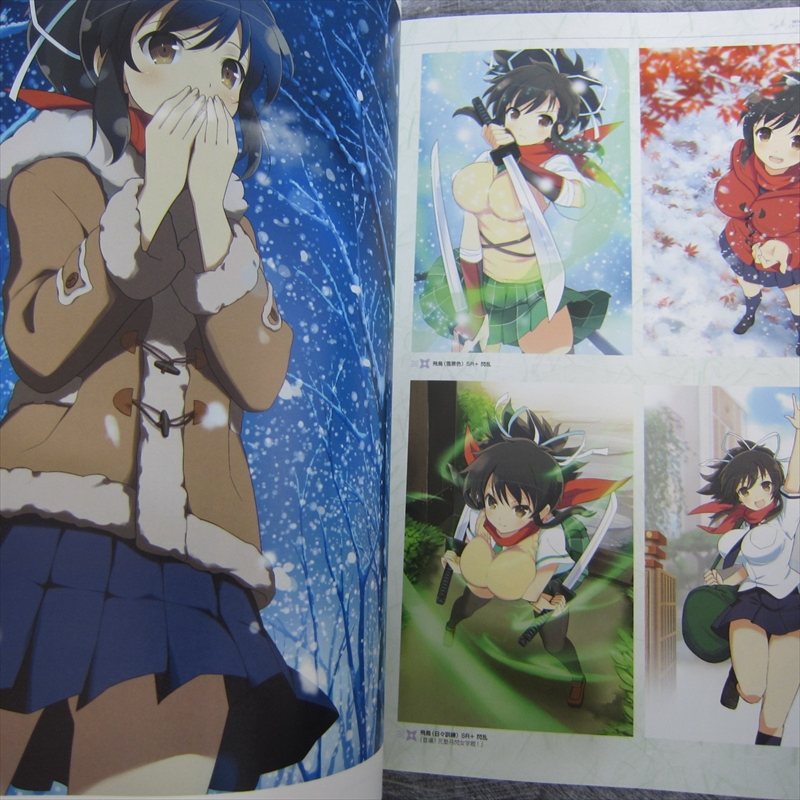 Senran Kagura New Wave Visual Collection Nan Yaegashi Art Book Ebay 0461