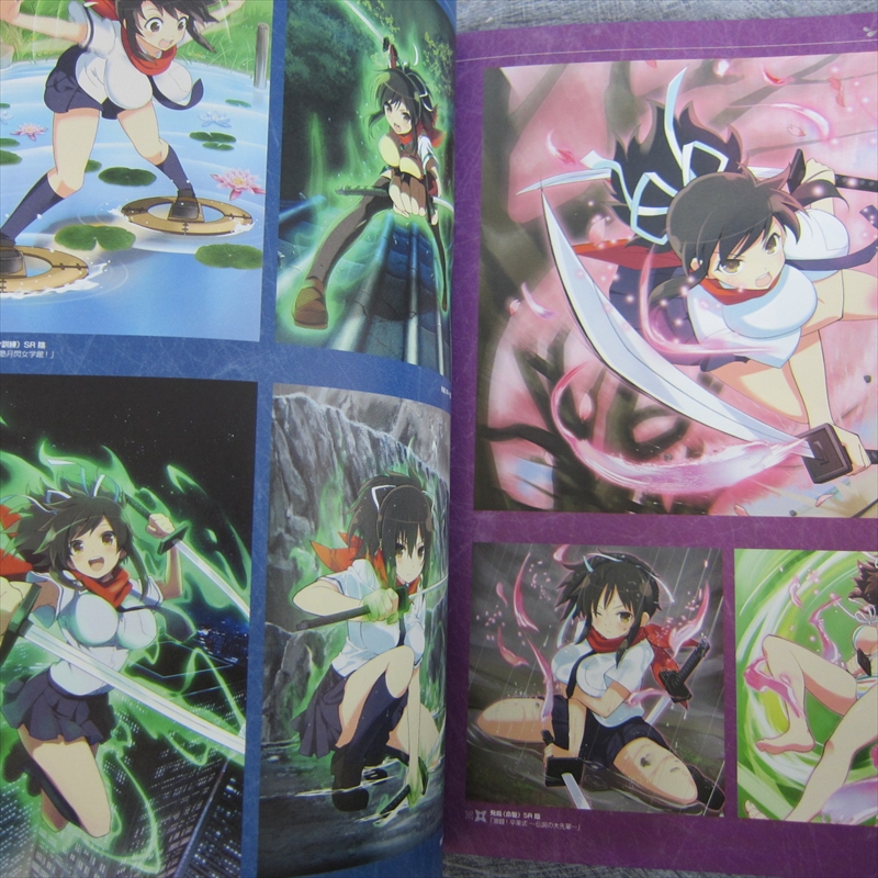 Senran Kagura: Official Design Works: 9781927925478 - AbeBooks