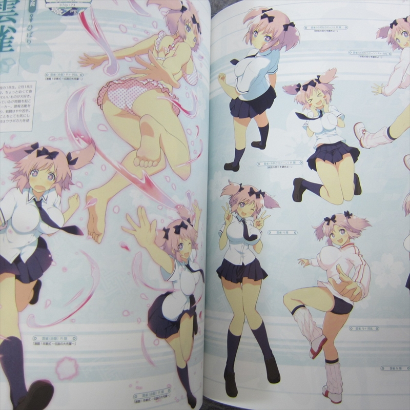 Senran Kagura: Official Design Works: 9781927925478 - AbeBooks