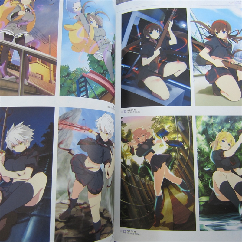 Senran Kagura: Official Design Works: 9781927925478 - AbeBooks