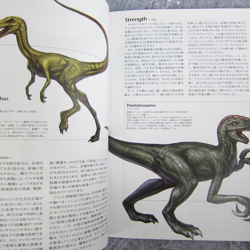 Japan Dino Crisis 3 Official Guide Book Colorcard De