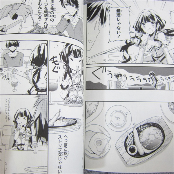 MASAMUNE KUN�S REVENGE 1 Kun no Manga Comic Tiv Japan Book