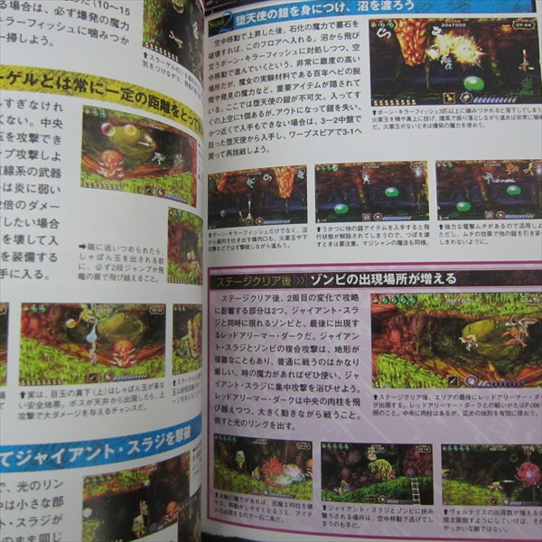 GOKU MAKAIMURA Ultimate Ghosts and Goblins Guide Book Sony PSP