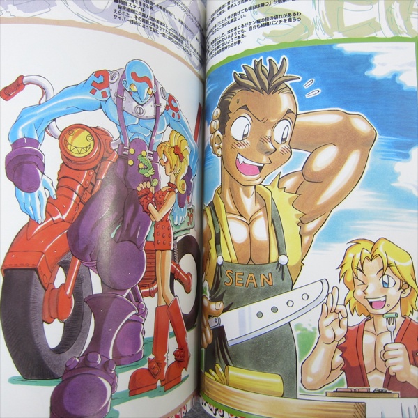 STREET FIGHTER III 3 Fan Book Art Works 1997 Arcade Book