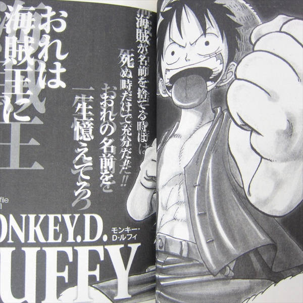One Piece Red Grand Characters Art Fanbook Eiichiro Oda Book Sh Ebay